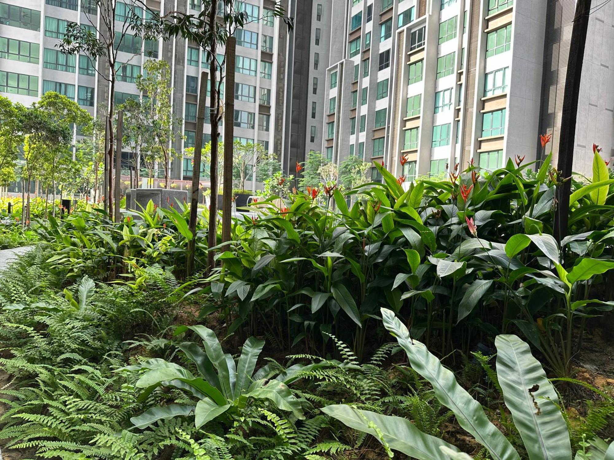 Kl Pantai Bangsar South 3br 6-11 Pax Next To Npe Pangsapuri *